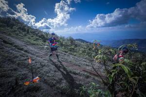 BIB: 
                            <button type="button" onclick="openModal(15955415)" class="btn btn-primary btn-sm float-right btn-popup" data-toggle="modal" data-target=".modal-high-quality">
                        <i class="fas fa-shopping-cart"></i> Add to Cart
                    </button>
                                            <button type="button" onclick="isThisMe(15955415, true)" class="btn btn-success btn-sm float-right btn-popup btn-isme hidden" data-toggle="tooltip" data-placement="bottom" title="นี่คือรูปของคุณใช่ไหม คลิกที่นี่เพื่อเอาเข้าอัลบั้ม">
                        <i class="fas fa-plus"></i> Add to album
                    </button>
                    <button type="button" onclick="isThisMe(15955415, false)" class="btn btn-warning btn-sm float-right btn-popup btn-isnotme hidden">
                        <i class="fas fa-ban"></i> Remove from album
                    </button>